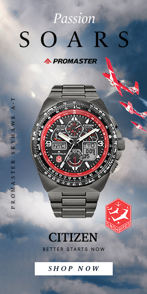 CWG-CJA-CIT-Snowbirds-300x600-1